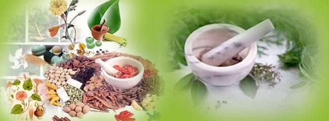 Top Ayurvedic Companies in Haridwar