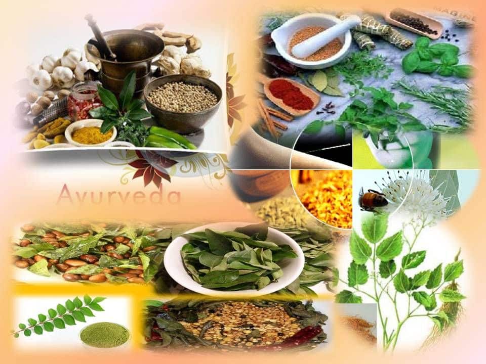Ayurvedic Medicine Manufacturers in Haryana