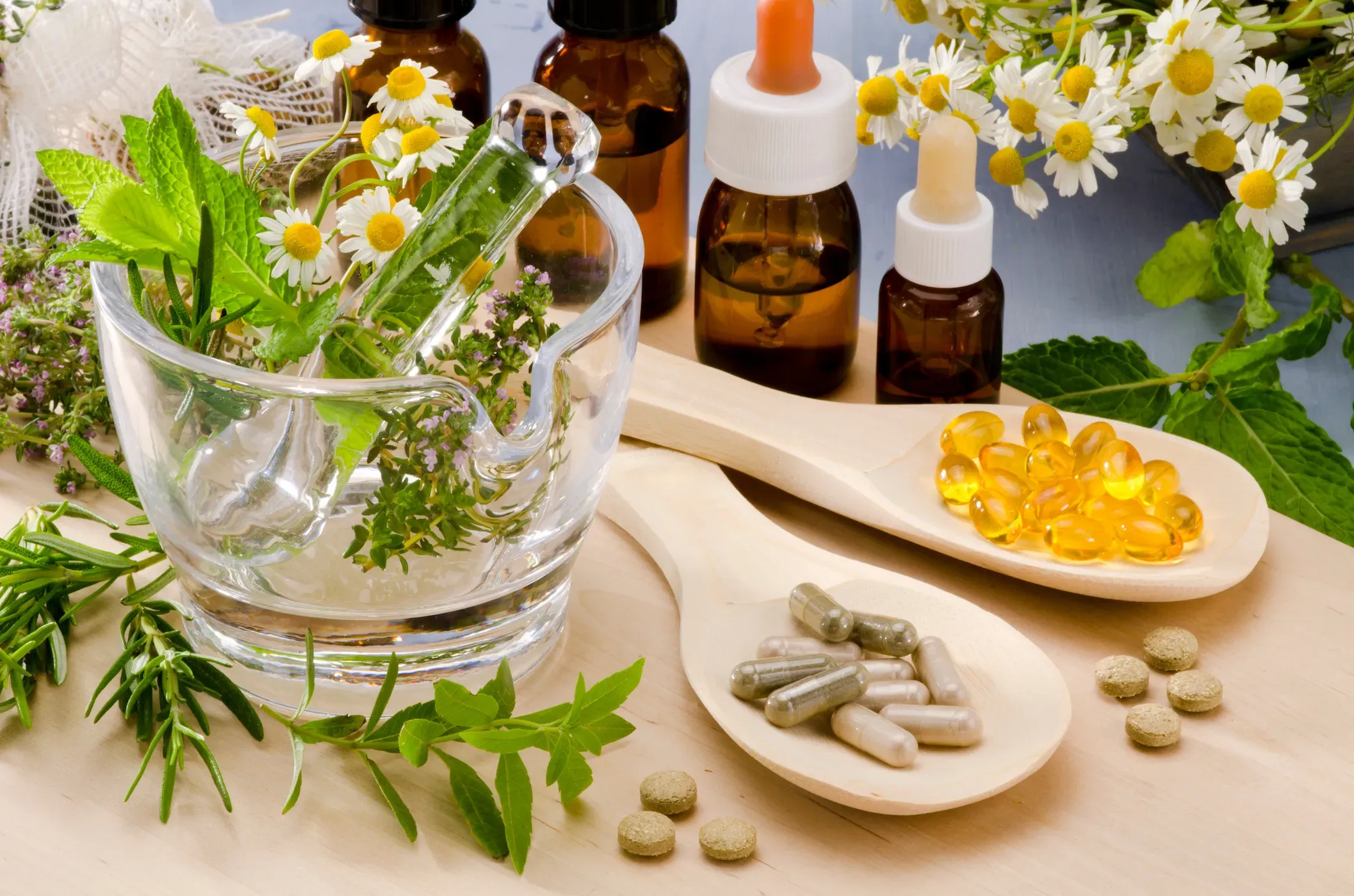 leading ayurvedic companies list delhi