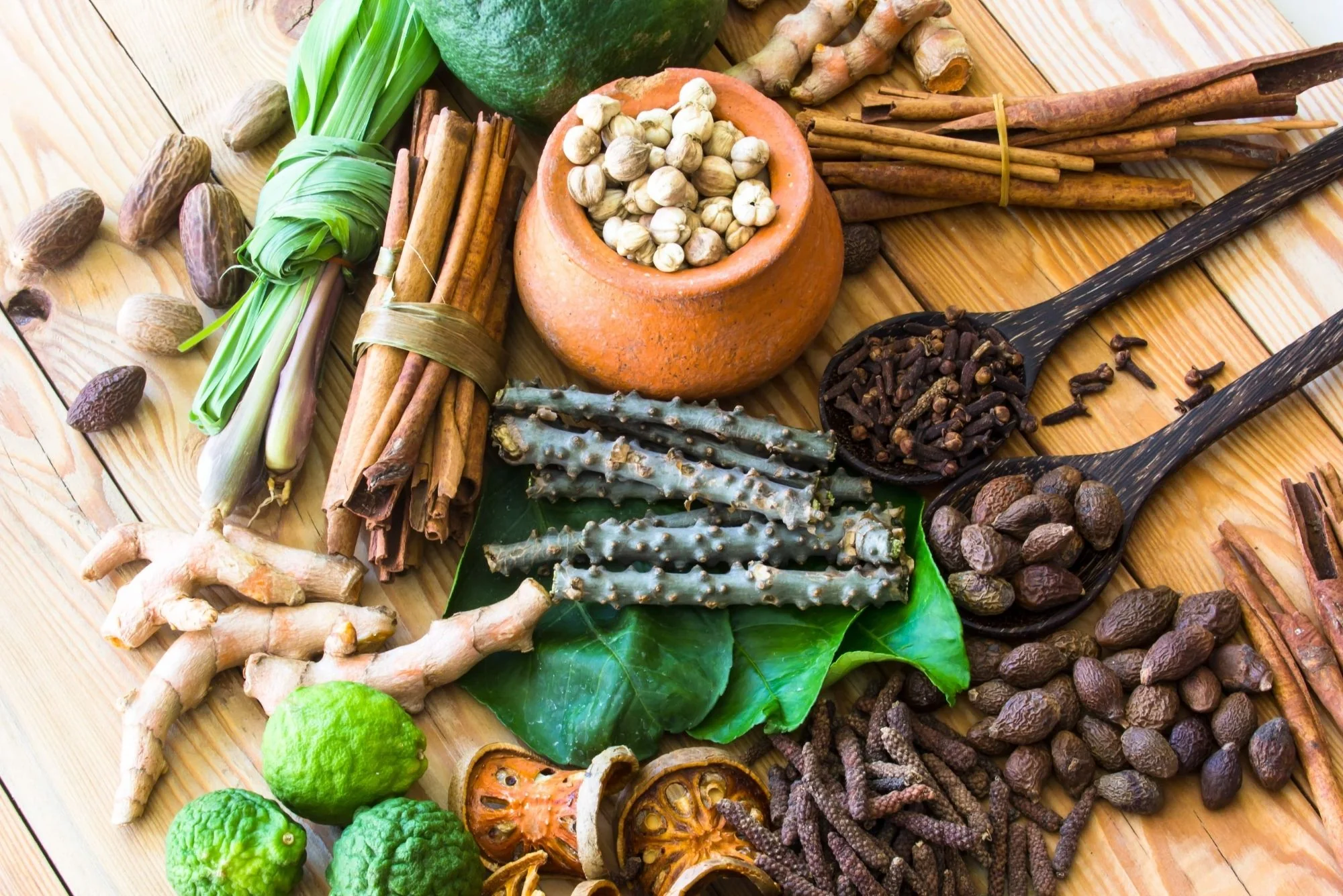top ayurvedic companies in delhi