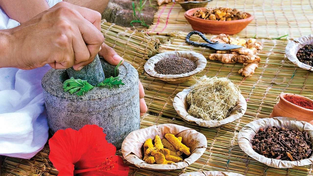 Top 20 Ayurvedic Companies in Maharashtra Best Ayurvedic manufacturers Maharashtra