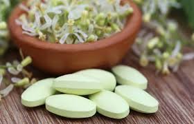 Ayurvedic Medicine Manufacturers in Pune