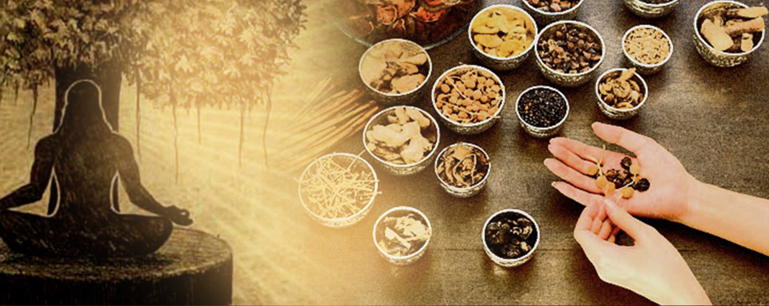 Top 10 Ayurvedic Companies in Kerala Best Ayurvedic Brands Kerala