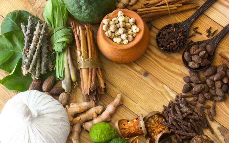 Top 10 Ayurvedic Companies in Kerala Top 10 Ayurveda Brands Kerala