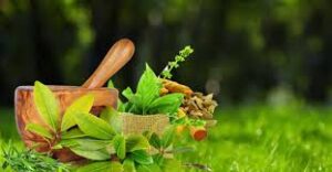 Top Ayurvedic Companies in Kolkata