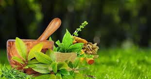 Top Ayurvedic Companies in Kolkata