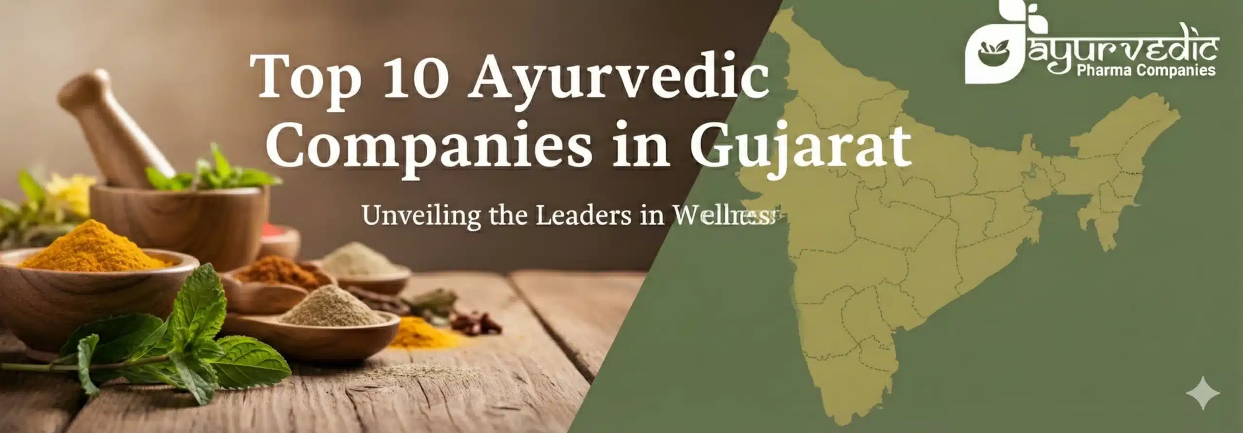 ayurvedic companies in gujarat