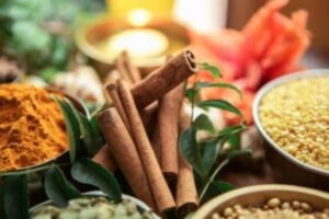 Ayurvedic Medicine Manufacturer in Jaipur