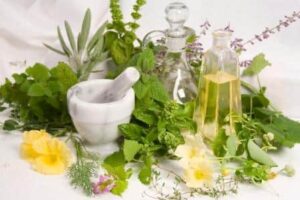 Ayurvedic Medicine Manufacturer in Rajasthan