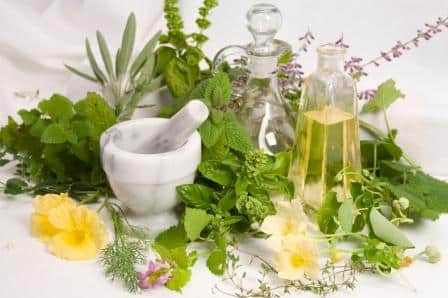 Ayurvedic Medicine Manufacturer in Rajasthan