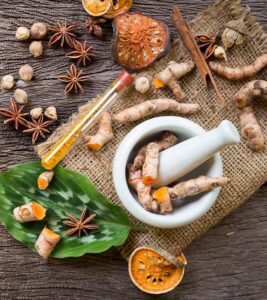 Ayurvedic Medicine Manufacturer in Sonipat