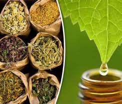 List of Ayurvedic Companies in Chennai