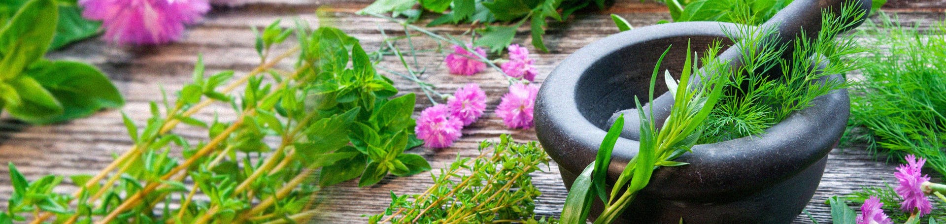 Ayurvedic Medicine Manufacturer in Coimbatore