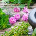 Ayurvedic Medicine Manufacturer in Coimbatore