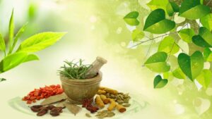 Ayurvedic Medicine Manufacturer in Kanpur