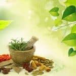 Ayurvedic Medicine Manufacturer in Kanpur
