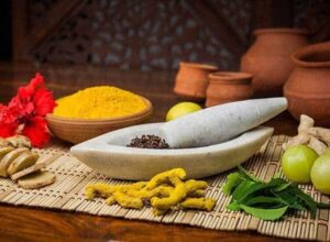 Ayurvedic Medicine Manufacturers in Himachal Pradesh