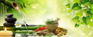 Ayurvedic Medicine Manufacturers in Telangana