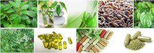 Third Party Manufacturing of Ayurvedic Products in India