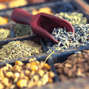Unani Medicine Manufacturers in Delhi