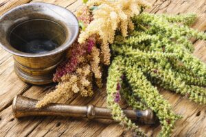 Ayurvedic Medicine Manufacturer in Patna