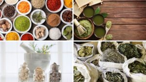 Ayurvedic Medicine Manufacturer in Ludhiana