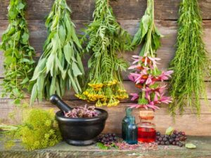 Ayurvedic Medicine Manufacturers in Faridabad