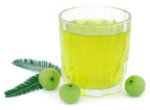 Amla Juice Manufacturers in India