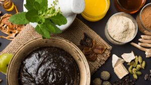 Ayurvedic Chawanprash Manufacturers in India