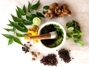 Ayurvedic Medicine Manufacturer in Mangalore