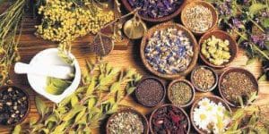 Ayurvedic Proprietary Medicine & Its Business Scope