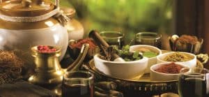 Is Ayurvedic Business Profitable