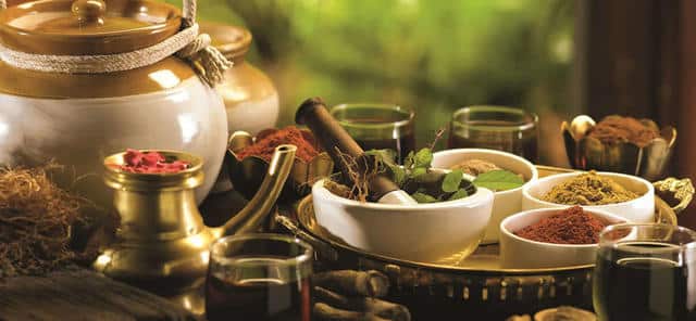 Is Ayurvedic Business Profitable