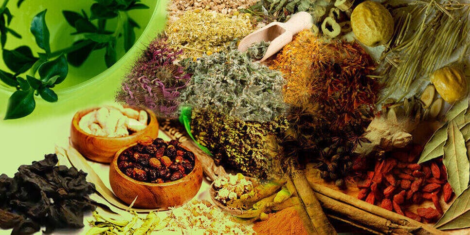 Is Ayurvedic Business Profitable