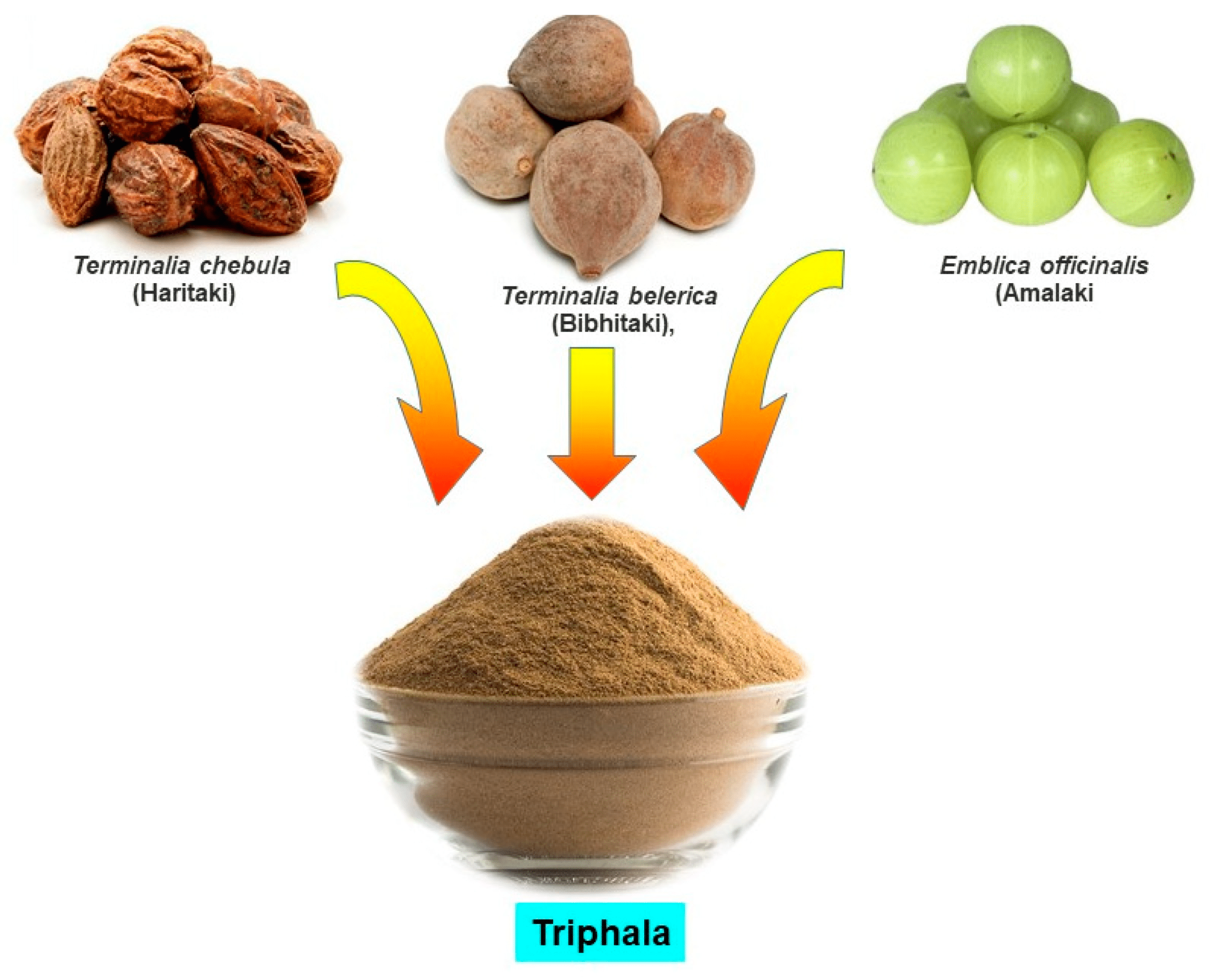 Triphala Powder Price In India